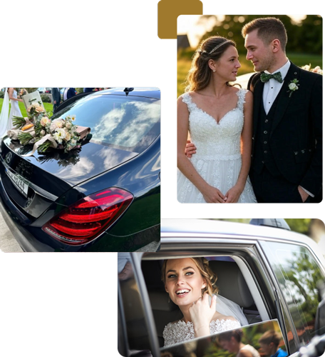 Home 37 opt wedding elite chaff